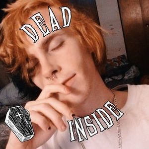 Meet your Posher, Lee